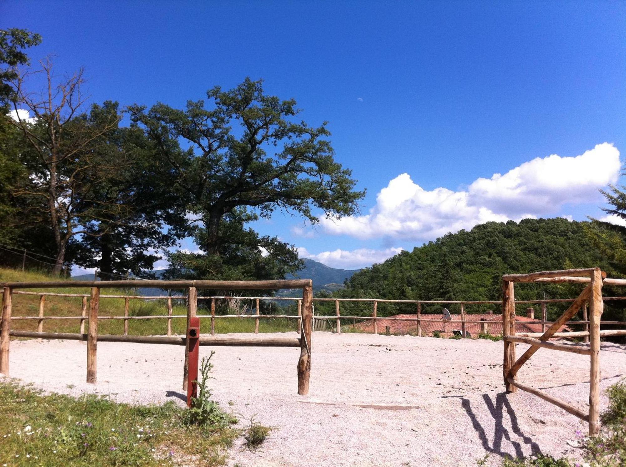 Sotto Il Cielo Hotel Pignola Esterno foto